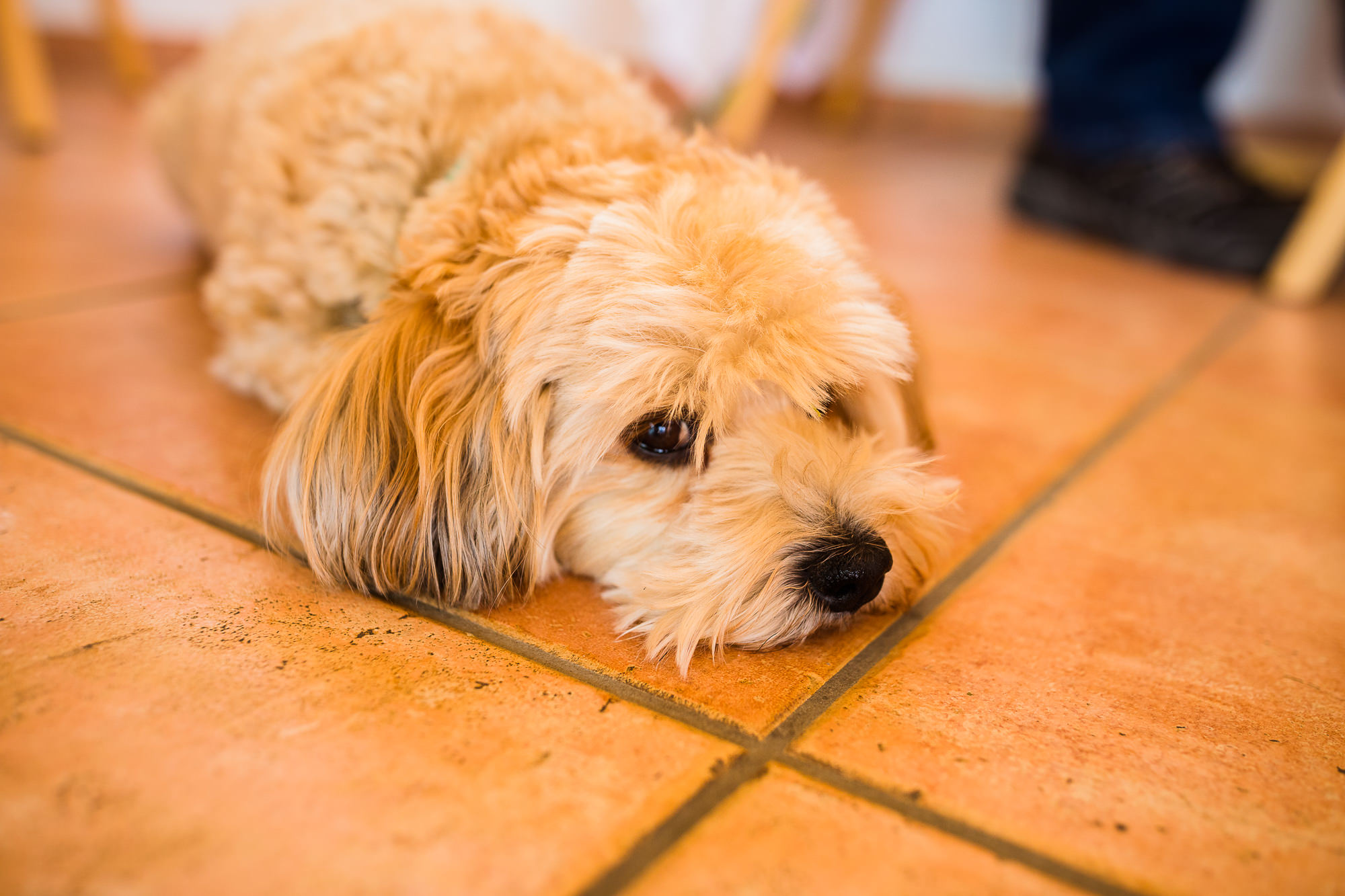 Export x3 5D4 5565 Geburtstag 75 Klara @ Golffricktal